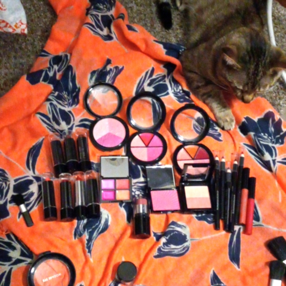 24 piece lipstick,gloss,liner,blush set The Color